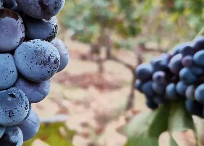 아파트 Iskra 스플리트