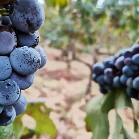 Appartement Iskra Split